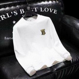 Picture of Burberry Sweatshirts _SKUBurberryM-5XL11Ln2024879